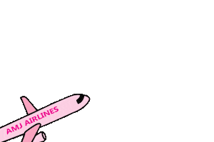 Airplane Amj Sticker by A. Marie Jewelry