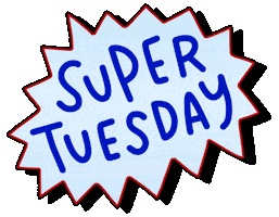 Voting Super Tuesday Sticker by Sarah The Palmer