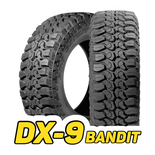 Alta Performance Dx9 Bandit Sticker by DELINTE - Pneus de Alta Performance