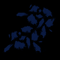 Teclado Razer Blackwidow Chroma Gifs Get The Best Gif On Giphy Teclado Razer Blackwidow Chroma Gifs Get The Best Gif On Giphy