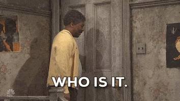 SNL gif. From the "Mr. Robinson's Neighborhood" sketch, Eddie Murphy as Mr. Robinson yells at his door. Text, "Who is it."