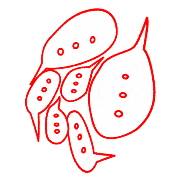 Atuxtu Sticker