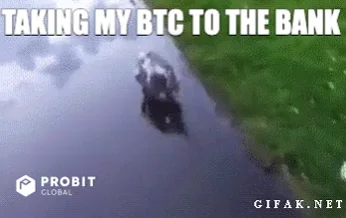 Crypto Bitcoin GIF