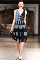 200.gif?cid=fc005b08386331d9eeb4e96a71df75699549d725cbbdb8ca&rid=200.gif&ct=g