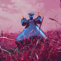 200.gif?cid=fc005b086d3aad5f2ee7d098b3b404e7331f9f4af77d0065&rid=200.gif&ct=g