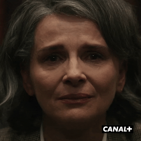 Tv Show Crying GIF by CANAL+