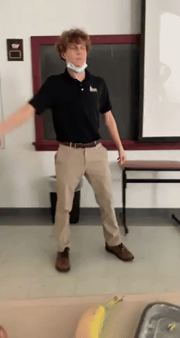 Hawaii Swim and Dive GIF