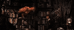nickibarrett  GIF