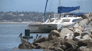 Water Boat GIF by The Bachelorette