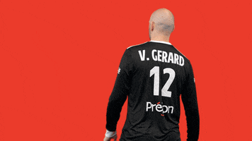 Vincent Gerard Ffhandball GIF by Fédération Française de Handball
