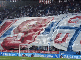 Uc GIF
