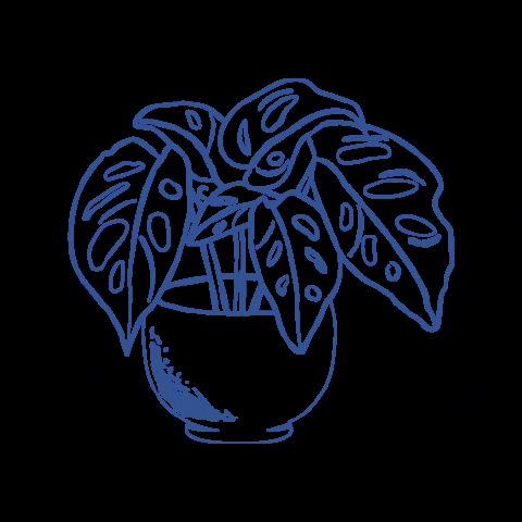 Illustration Plant GIF by Lazer Unicorn