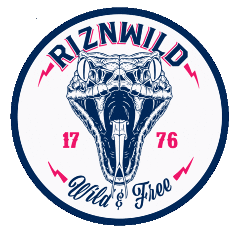 Independence Day America Sticker by RIZNWILD