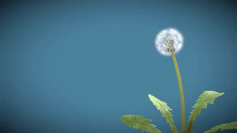 Fly Away Art GIF by Zacxophone - Find & Share on GIPHY