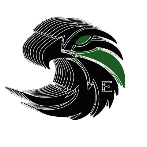 Falcons Sticker