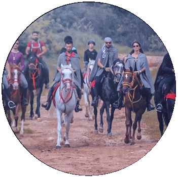 Ride 4 Far Sticker
