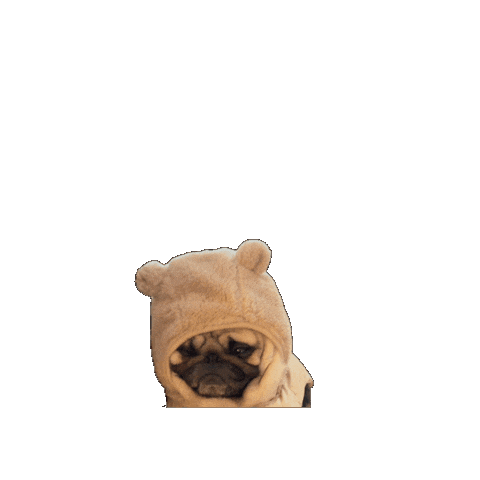 Winter Queen Sticker