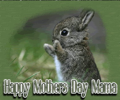 Latest-mothers-day-images GIFs - Get the best GIF on GIPHY