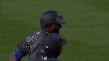 Home Run Win GIF by MLB