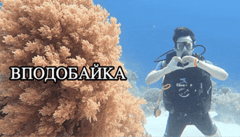 Лайк GIF