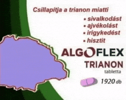 Hungarian Hungary GIF by Keddi Kosár