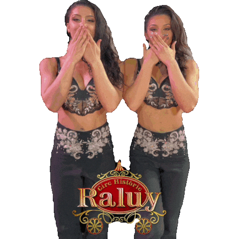 Circ Raluy Sticker