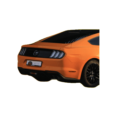 MM Race Cars Sticker