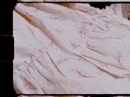 200.gif?cid=fc005b08ec96c0597145fc1d339435abb0e1f522ff1b663a&rid=200.gif&ct=g