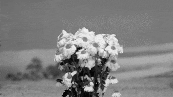 black and white vintage GIF