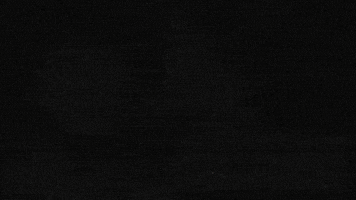 Does He Know Youtube GIF