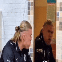 Holland GIF