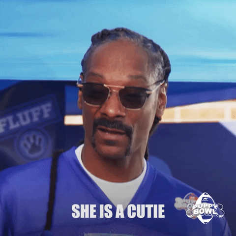 Snoop Dogg GIF by Puppy Bowl