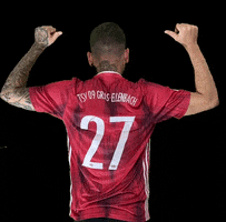 TSV 09 Gras-Ellenbach GIF