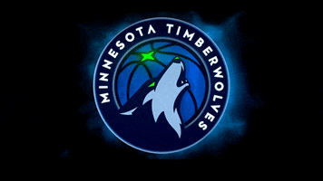 minnesota timberwolves GIF by NBA