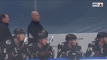 Arizona Coyotes Bench Celebration GIF