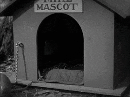 silent film oh snap GIF