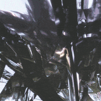 200.gif?cid=fc005b088c35c51a891b8b4e0ebbd8d502b1e0d7aa756dcc&rid=200.gif&ct=g
