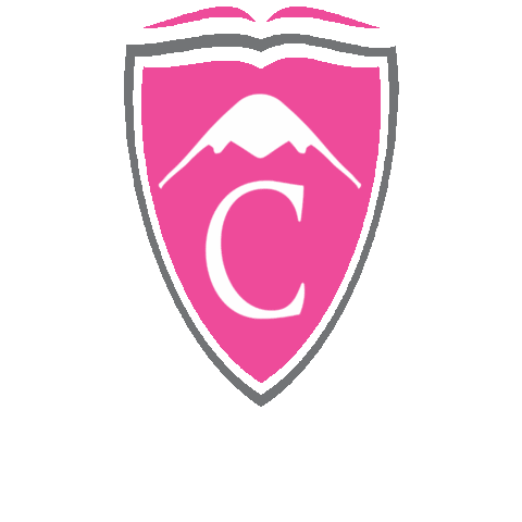 IES Colate Sticker