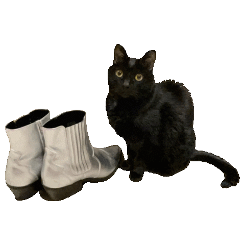 Jazzyj Sticker by thelifeybrand