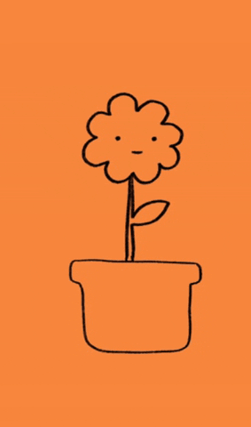 Catalinacheng flower gay orange drawing GIF