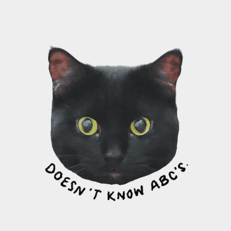 Black Cat GIF