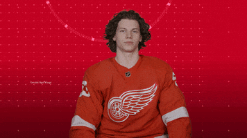 Red Wings Thumbs Up GIF by Detroit Red Wings