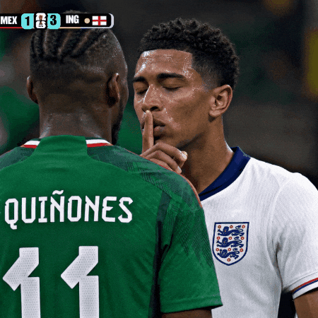 World Cup Soccer GIF
