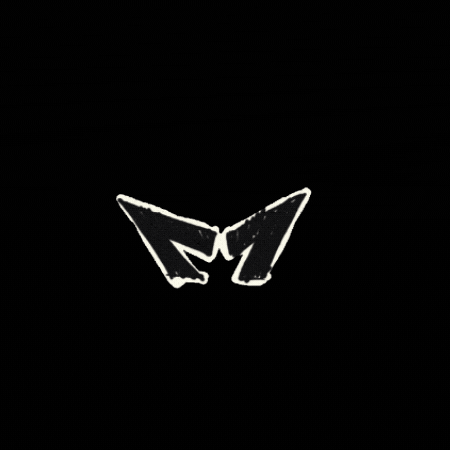 Feroz GIF by zapatoferoz