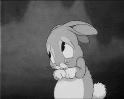 sad rabbit GIF
