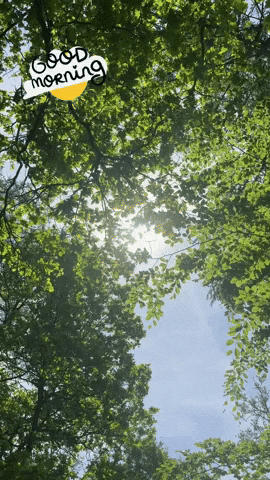 Good Morning GIF