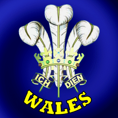 Crown Wales GIF