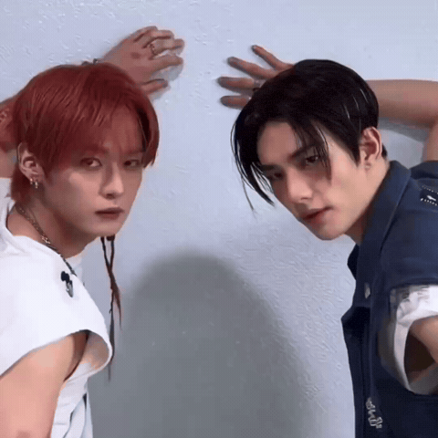 Stray Kids Skz GIF