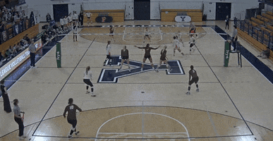Block GIF by Brown Volleyball