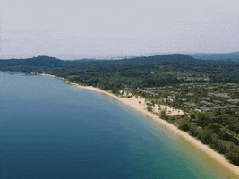 Vivuphuquoc GIF